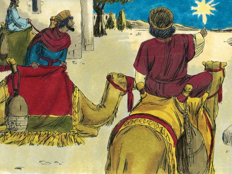 The Prophet Story